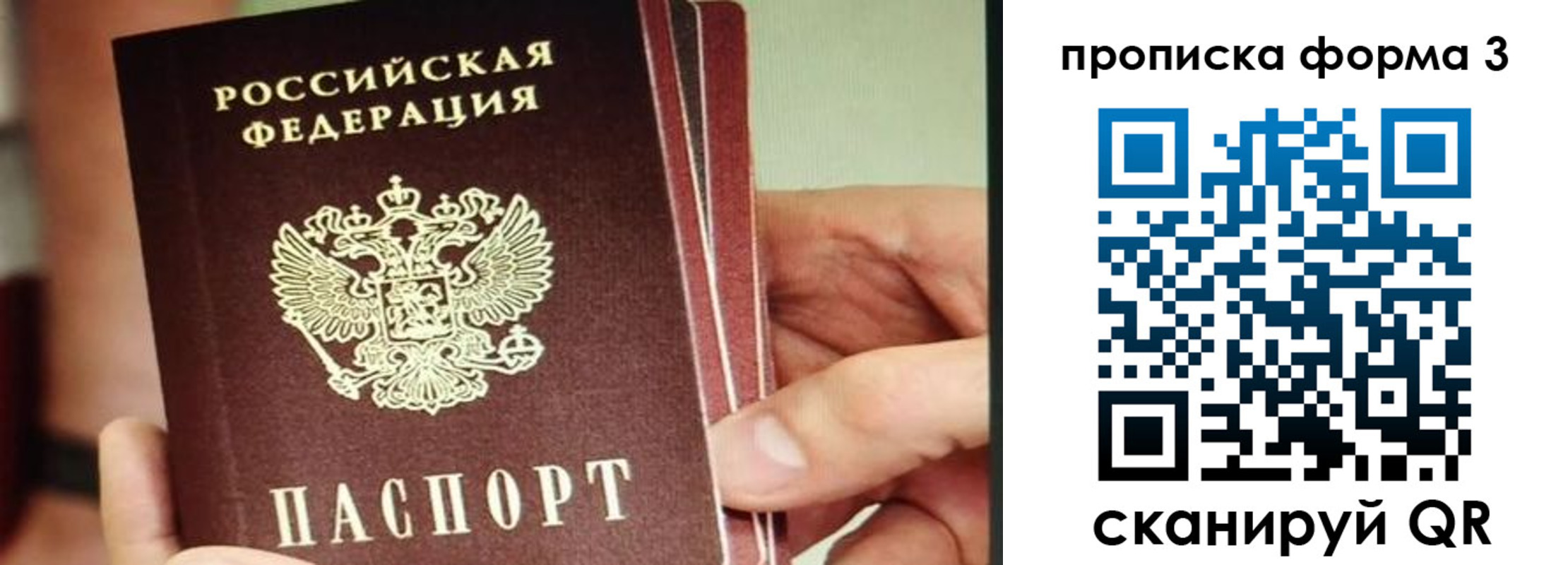 прописка законно в Лыткарино